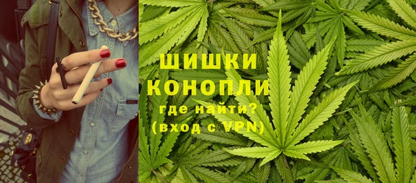 стаф Бородино