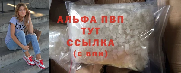 стаф Бородино