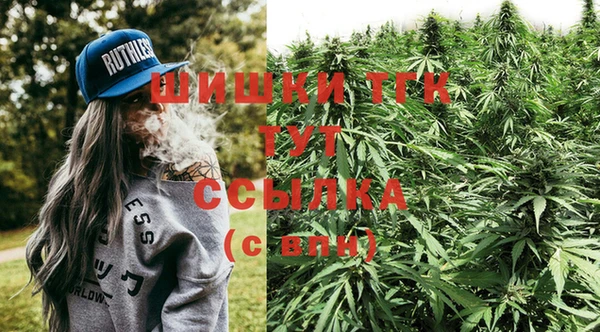 стаф Бородино