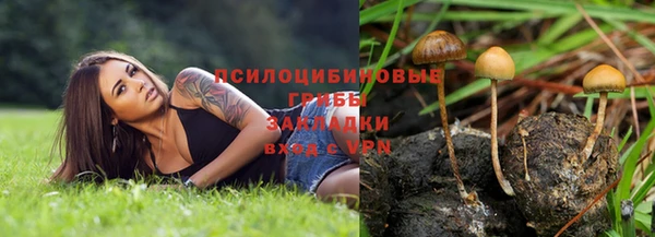 стаф Бородино