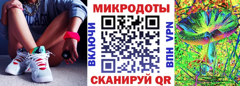 Галлюциногенные грибы Psilocybe  Качканар 